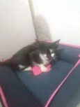 Chamo ela de (luna)
