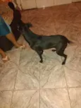 Maya