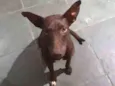 Não sei