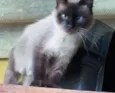 Sem nome