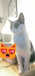Théo