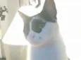 Théo