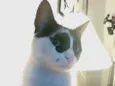 Théo