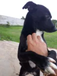 Frida