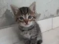 Ângela 