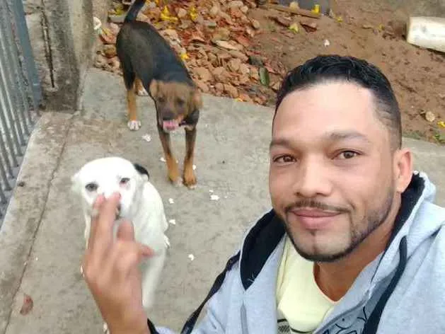 Cachorro ra a Vira lata idade 2 anos nome Cacau