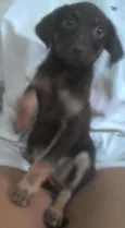 Bruce