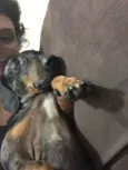Mel