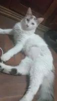 Prince