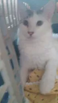 Prince