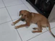 Marley