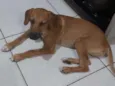 Marley