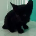 Júpter