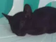 Júpter