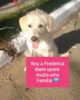 Frederica