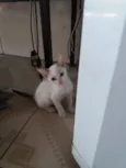 Mia