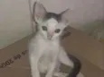 Lui
