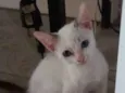 Mia