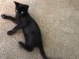 Tom