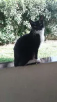 Junior