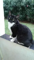 Junior