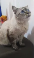 Fiona
