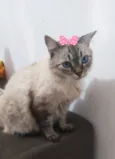 Fiona