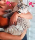 Fiona