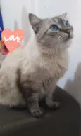 Fiona