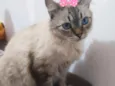 Fiona