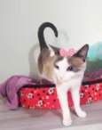 Mia