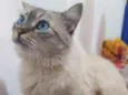 Fiona