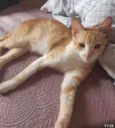Paolo 