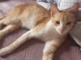 Paolo 