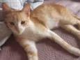 Paolo 