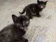 MEG E MIA