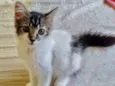 Nina 