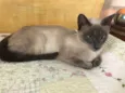 Samantha
