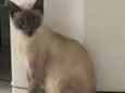 Samantha