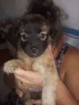 Sem nome