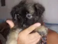 Sem nome