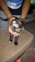 Luna Maria 
