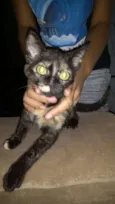 Luna Maria 