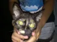 Luna Maria