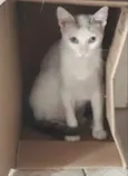Valentina