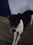 Lilica 