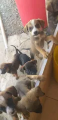 Ele não tem ainda