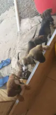 Ele não tem ainda