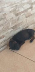 Ele não tem ainda