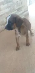 Ele não tem ainda